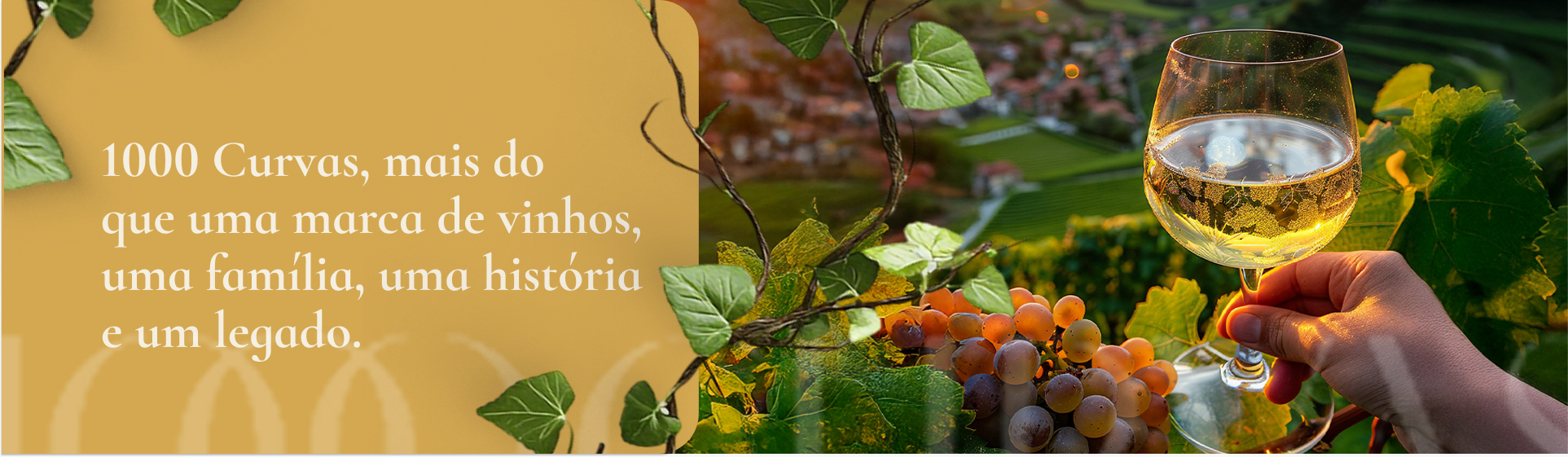 1000 Curvas — mais do que vinho, uma família