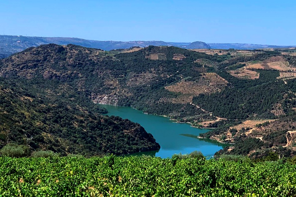 Vista da Região do Douro Verde