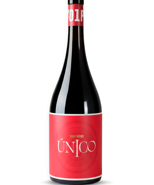 ÚNICO #01 PN