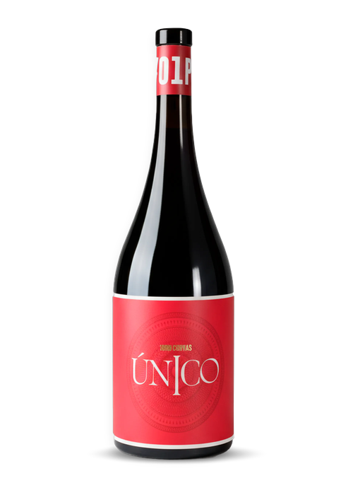 ÚNICO #01 PN
