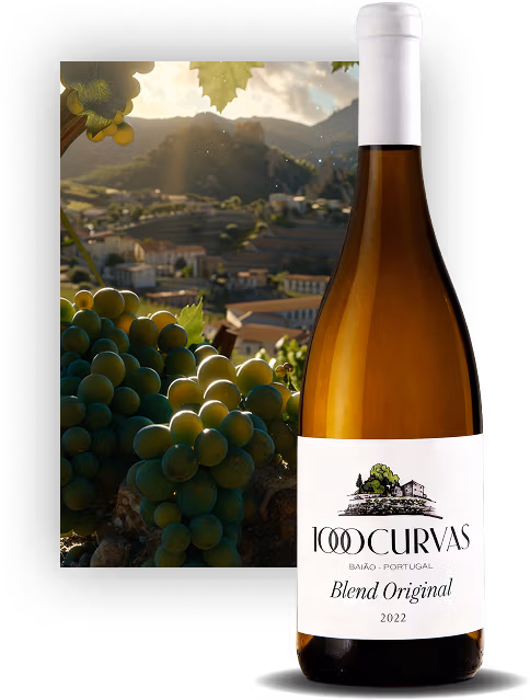 1000 Curvas – Blend Original 2022