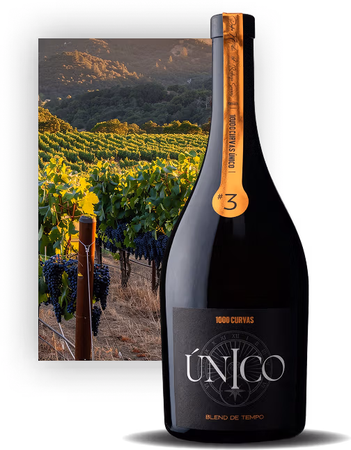 1000 Curvas – ÚNICO #3 Blend de Tempo